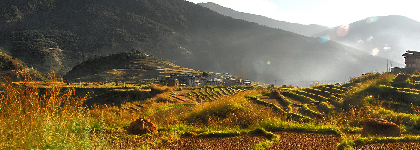 machu-picchu-ruins