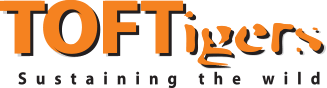 TOFtigers